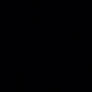 Meet your Posher, Owen